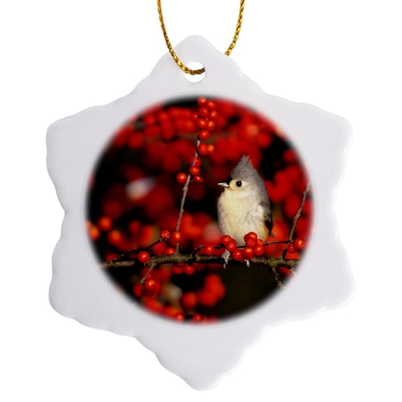 3drose, Tufted Titmouse in Common Winterberry in Winter, Marion Co, Illinois, 3 inch Snowflake Porcelain Ornament