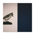 thumbnail image 1 of "Tufted Titmouse Stillness" - Canvas, 1 of 25