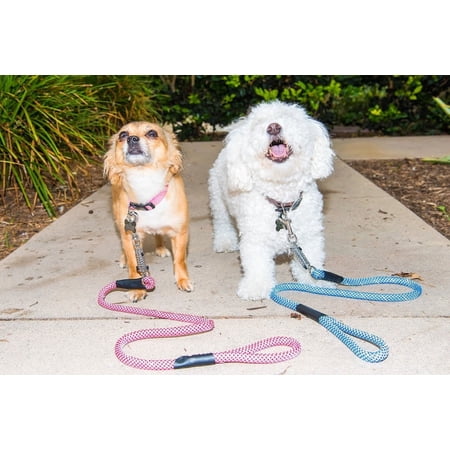 Tug Control Leash with Reflectors & Shock Absorber - XL Kandy Kane