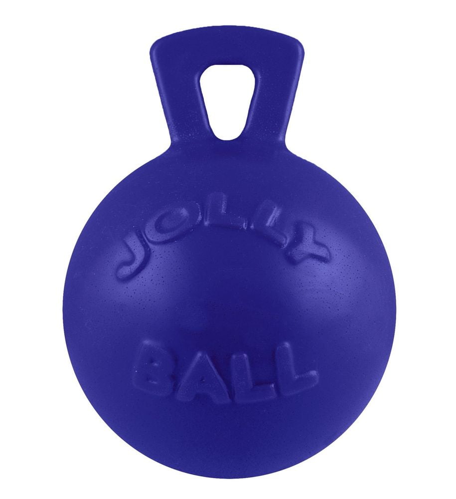 Tug-N-Toss Ball Dog Toy, 10 in.