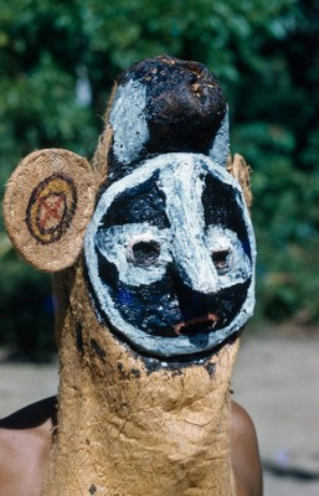 Tukuna Mask Amazon River Region Primitive Art Canvas Art - (18 x 24)
