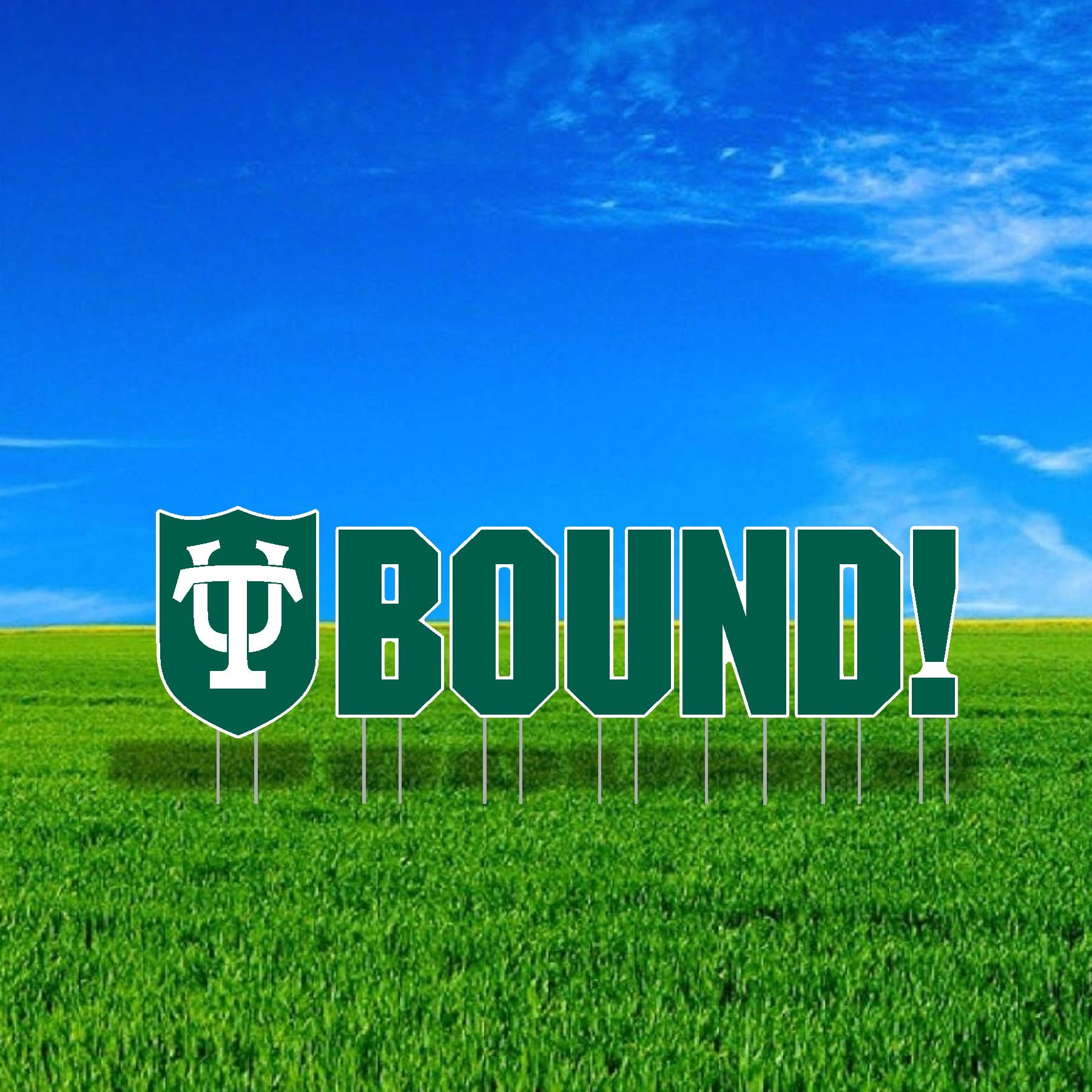 Tulane University BOUND Mascot Yard Sign Set