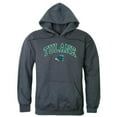 thumbnail image 1 of Tulane University Men Campus Hoodie, Heather Charcoal - Extra Large, 1 of 1
