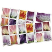 Tulip Blossoms USPS Forever Postage Stamp 2 Books of 20 US First Class Postal Flower Spring Wedding Holiday Celebrate Announcement Party (40 Stamps)