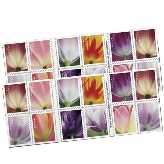 Tulip Blossoms USPS Forever Postage Stamp 2 Books of 20 US First Class Postal Flower Spring Wedding Holiday Celebrate Announcement Party (40 Stamps)