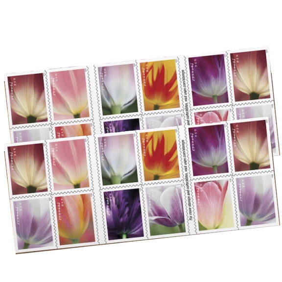 Tulip Blossoms USPS Forever Postage Stamp US First Class Postal Flower Spring Wedding Holiday Celebrate Announcement Party (40 Stamps)