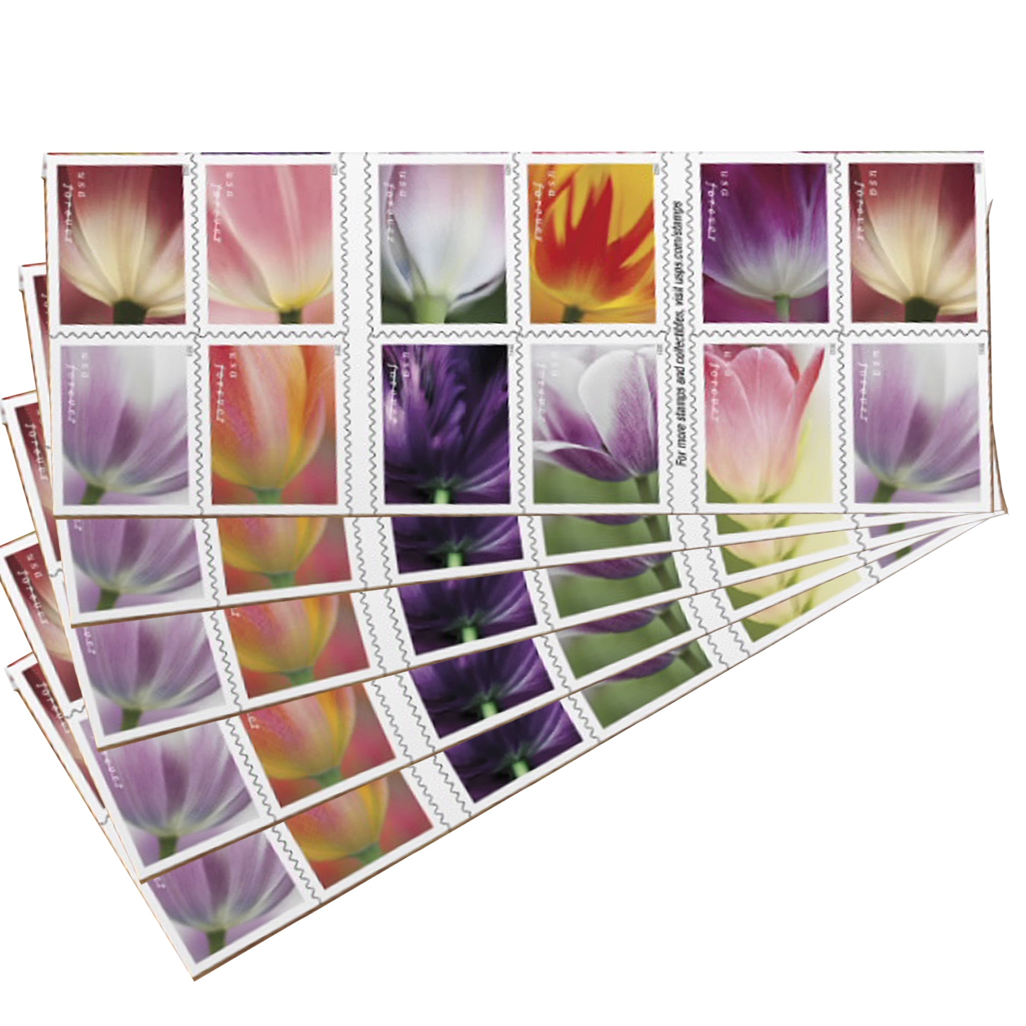 Tulip Blossoms USPS Forever Postage Stamp 5 Books of 20 US First Class  Flower Spring Wedding Holiday Celebrate Announcement Party (100 Stamps) 