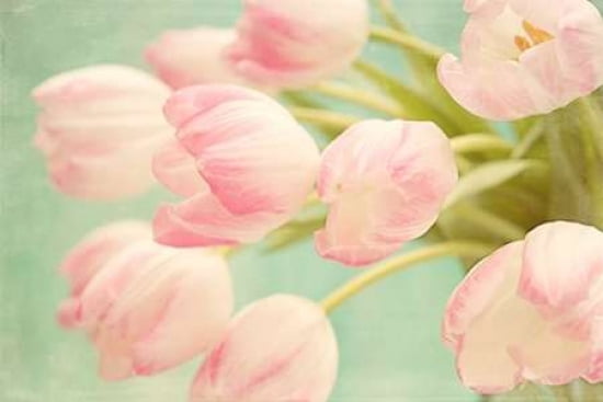 Tulip Bouquet Canvas Art - Cora Niele (12 x 18)