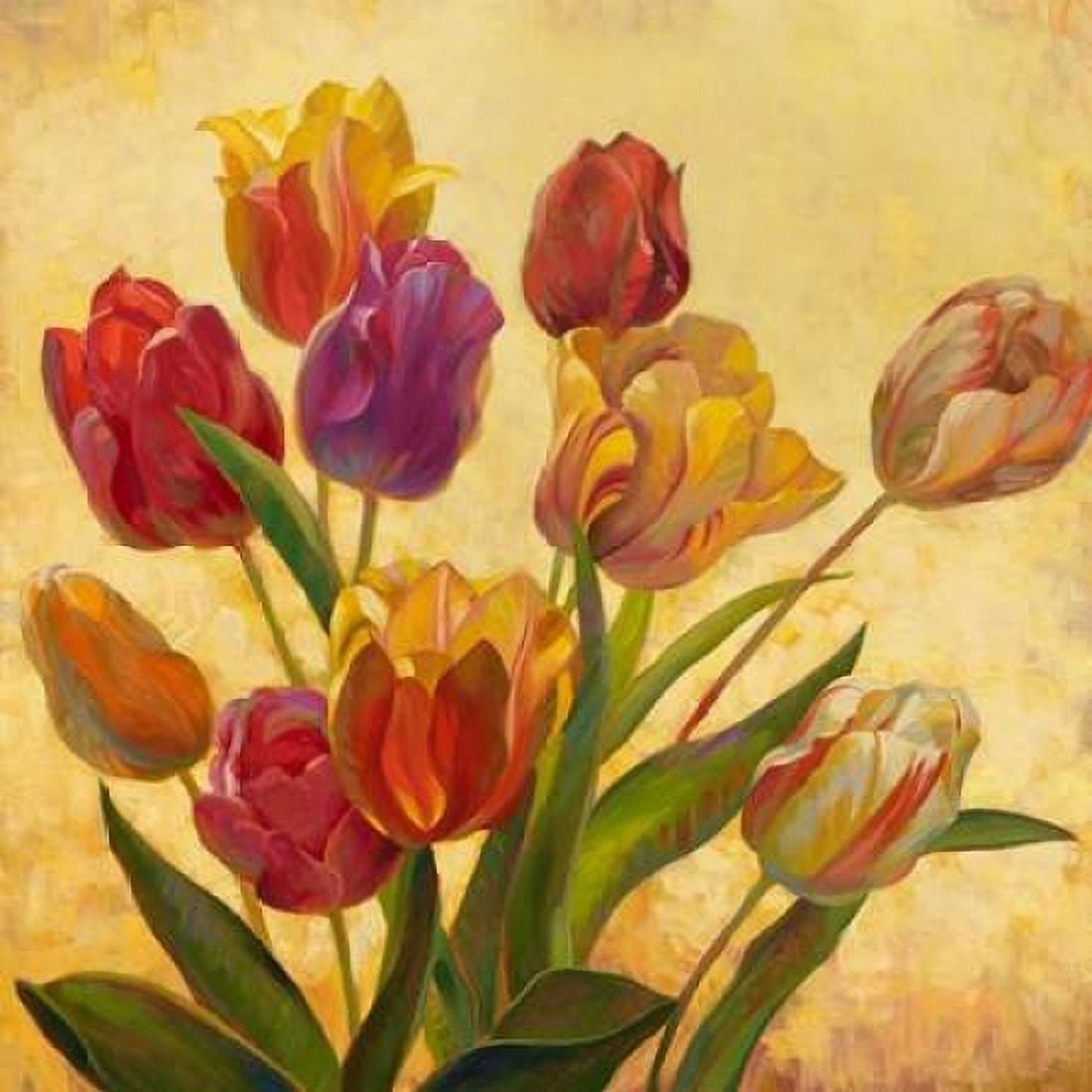 Tulip Bouquet Canvas Art - Emma Styles (24 x 24)