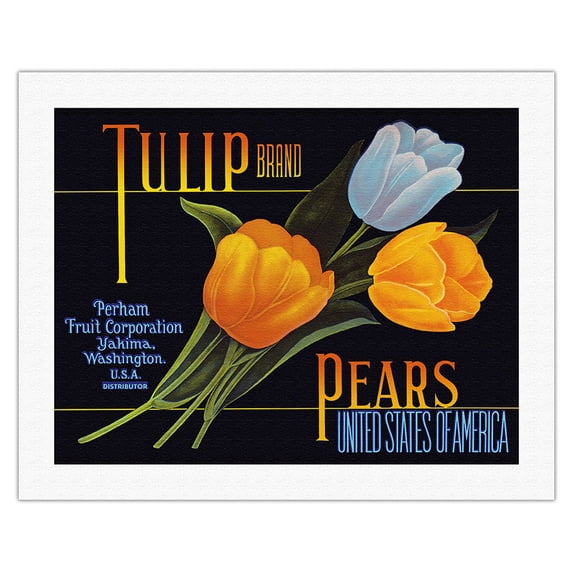 Tulip Brand Pears - Vintage Fruit Crate Label c.1950s - Fine Art Rolled Canvas Print 20in x 26in