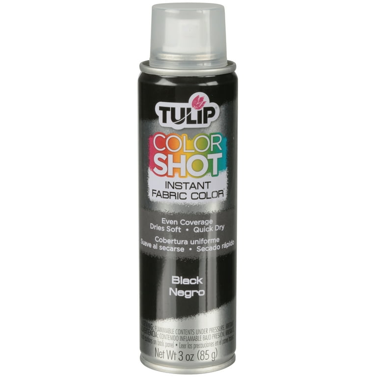 Tulip ColorShot Instant Fabric Spray Color 3oz. Black