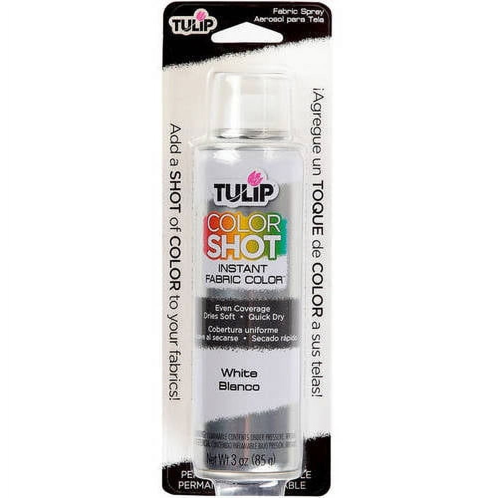 Tulip Colorshot Fabric Spray Paint Review napnepal.gov.np
