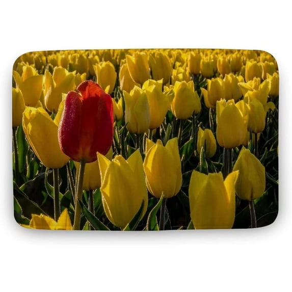 Tulip Door Mat Spring Flower Indoor Outdoor Rug Welcome Mat Non-Slip Decorative Doormat for Front Door Kitchen Bedroom Living Room Bathroom Flowers Decor Gift 18x30 Inch