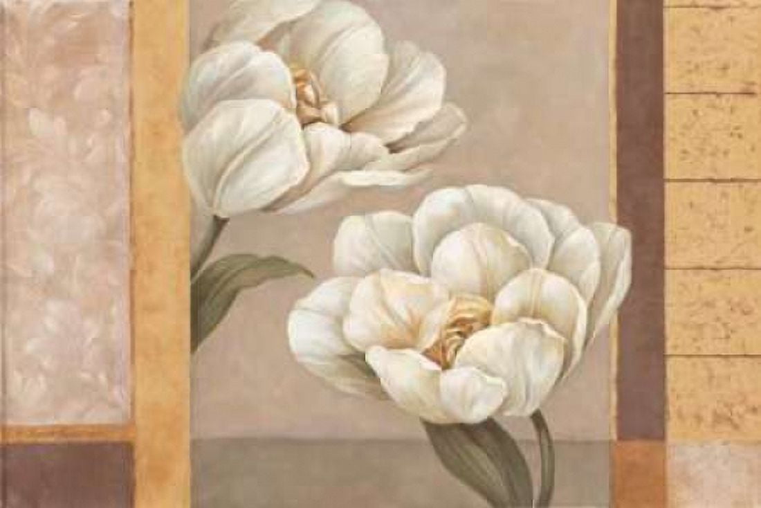 Tulip Duet Canvas Art - Pamela Gladding (12 x 18)