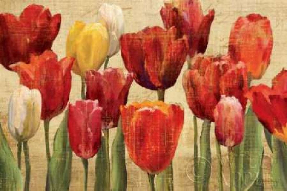 Tulip Fantasy on Cream Canvas Art - Marilyn Hageman (24 x 36)