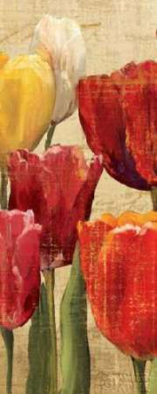 Tulip Fantasy on Cream III Canvas Art - Marilyn Hageman (10 x 20)