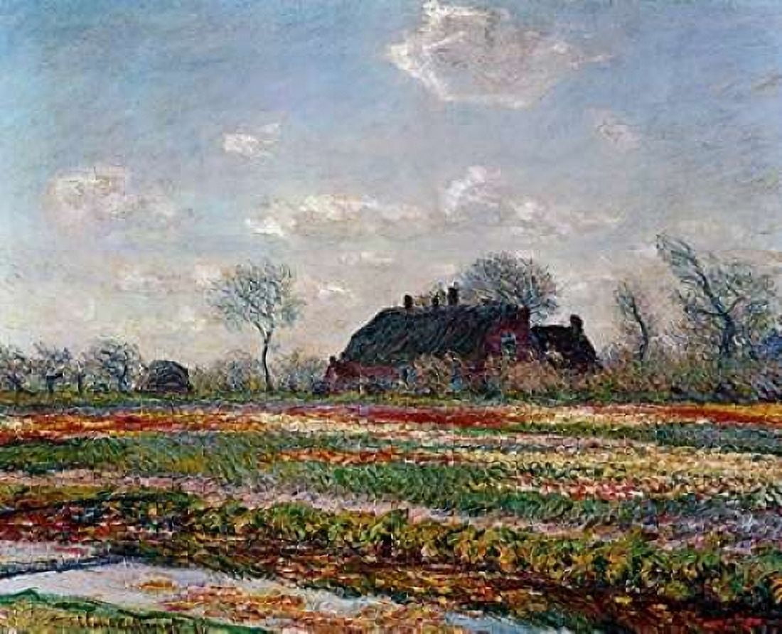 Tulip Field Sassenheim Canvas Art - Vincent Van Gogh (22 x 28)
