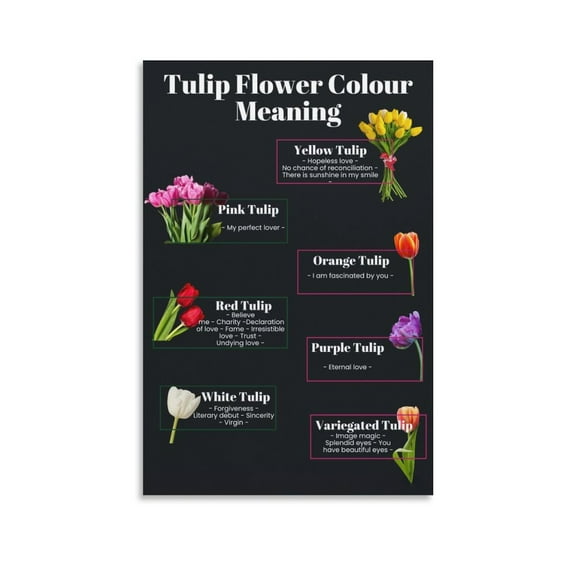 Tulip Flower Colour Meaning Gifts Canvas Painting Poster Wall Art Decorative Picture Prints Modern Decor 08x12inch(20x30cm)