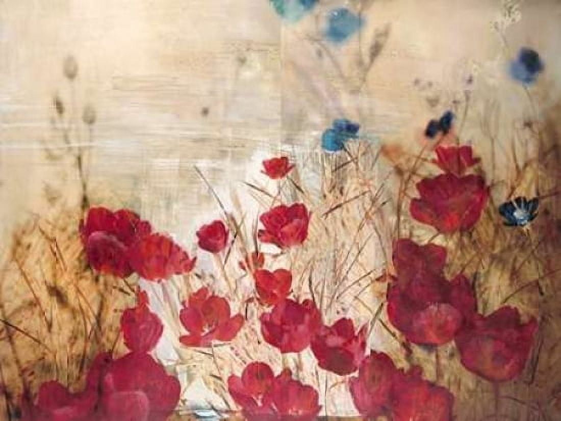 Tulip Garden Canvas Art - Matina Theodosiou (22 x 28)