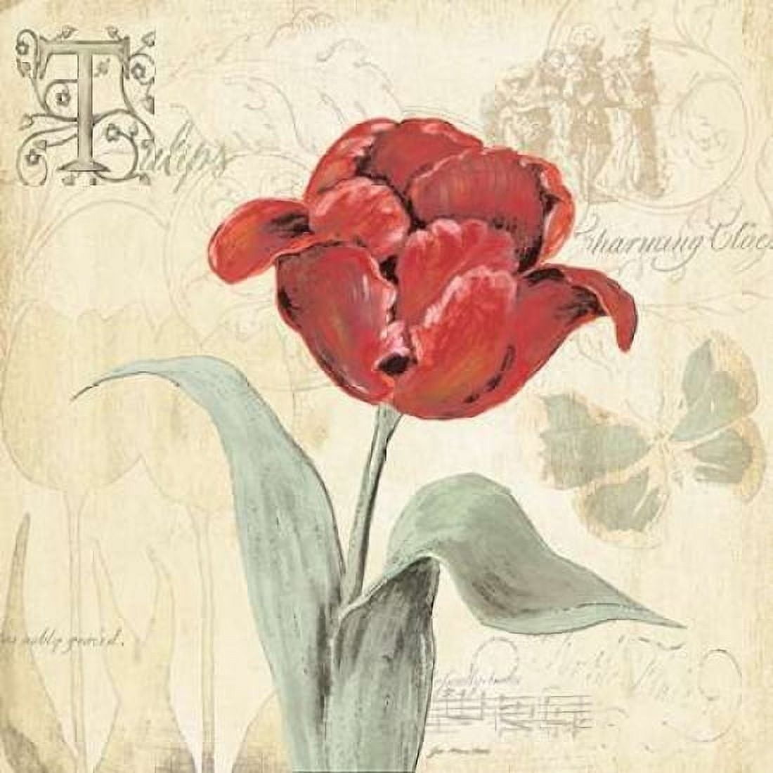 Tulip Gem I Canvas Art - Jo Moulton (24 x 24)