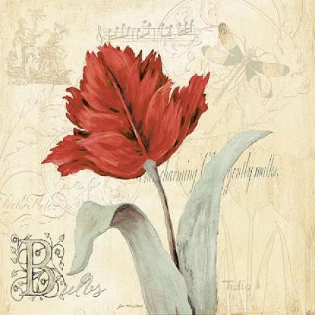 Tulip Gem II Canvas Art - Jo Moulton (24 x 24)
