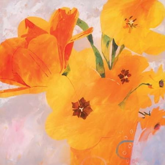 Tulip Glory Canvas Art - Carolyn Carter (24 x 24)