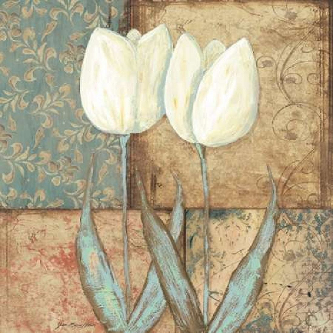 Tulip II Canvas Art - Jo Moulton (24 x 24)