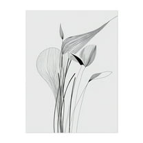 Tulip Leaves Line Art - Line Drawing Line Art Minimalist Botanical Abstract Modern Art Black and White Floral Unframed Wall Art Print 5 x 7 inches