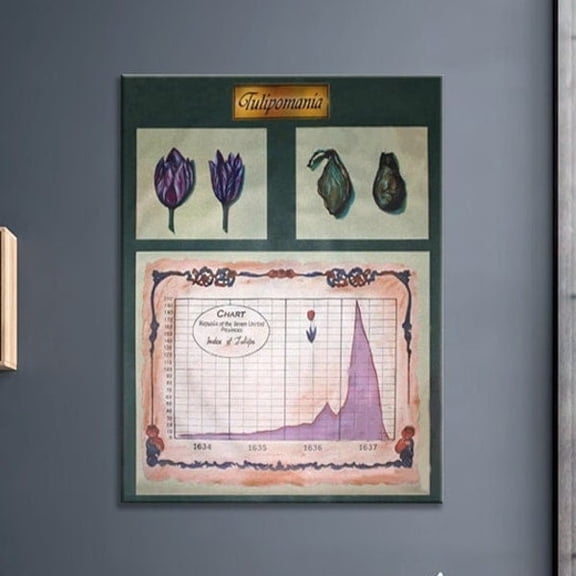 Tulip Mania Stock Market Art Finance Gift Stock Trading Infographic Poster Educational Posters Classroom Posters Office Wall Art UNFRAMED