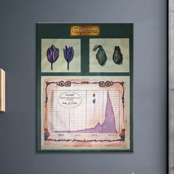 Tulip Mania Stock Market Art Finance Gift Stock Trading Infographic Poster Educational Posters Classroom Posters Office Wall Art- Wall Art Print, 16x24 UNFRAMED