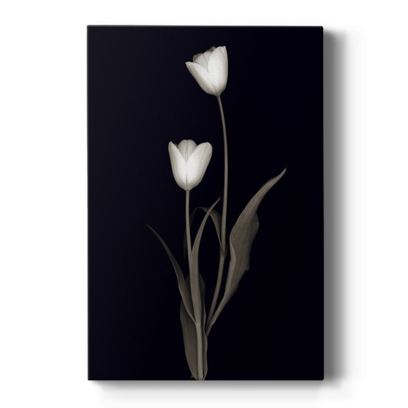 Tulip Pose II Premium Gallery Wrapped Canvas - Ready to Hang
