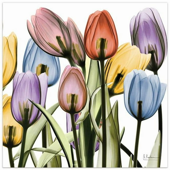 Tulip Scape X-Ray II Frameless Free Floating Tempered Glass Panel Graphic Wall Art