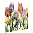 thumbnail image 1 of "Tulip Scape x-ray I" Frameless Free Floating Reverse Printed Tempered Art Glass Wall Art, 24" x 24", 1 of 6