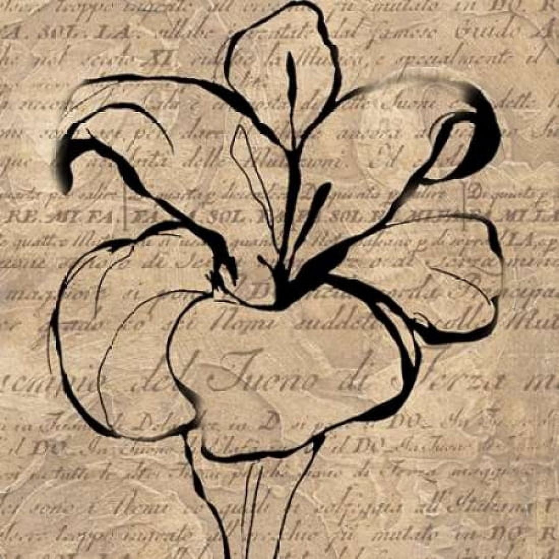 Tulip Thoughts Canvas Art - Lisa Wolk (24 x 24)