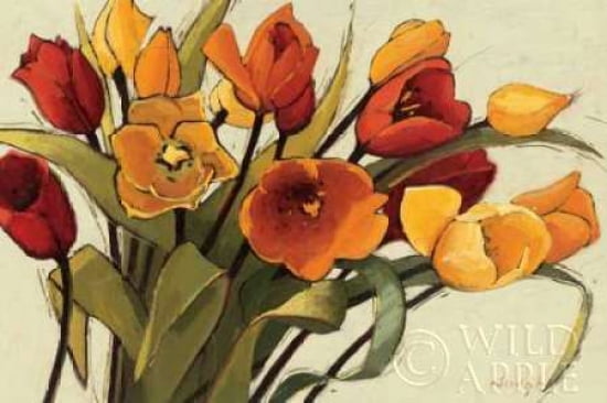 Tulip Time Canvas Art - Shirley Novak (24 x 36)