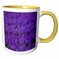 thumbnail image 1 of Tulip among a field of Hyacinth flowers, Lisse, Holland 15oz Two-Tone Yellow Mug mug-257762-13, 1 of 3