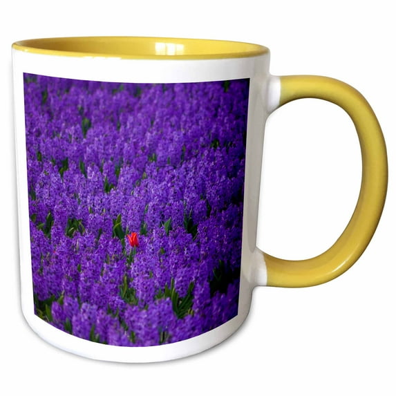Tulip among a field of Hyacinth flowers, Lisse, Holland 15oz Two-Tone Yellow Mug mug-257762-13