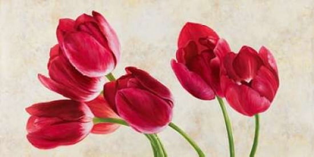Tulip concerto Canvas Art - Luca Villa (10 x 20)