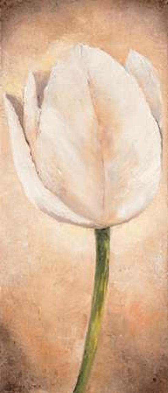 Tulip on beige I Canvas Art - Lenna Lotus (24 x 48)