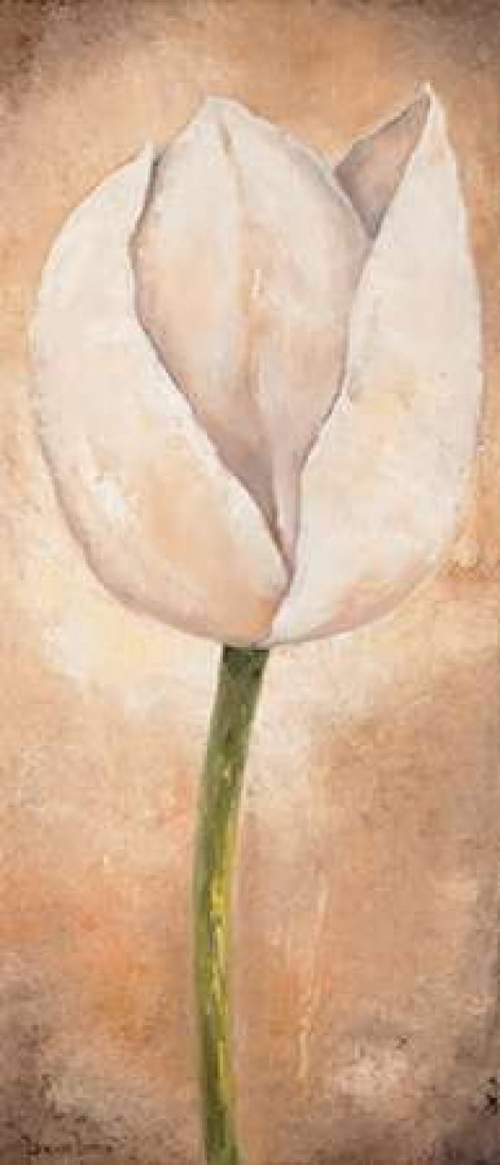 Tulip on beige III Canvas Art - Lenna Lotus (10 x 20)