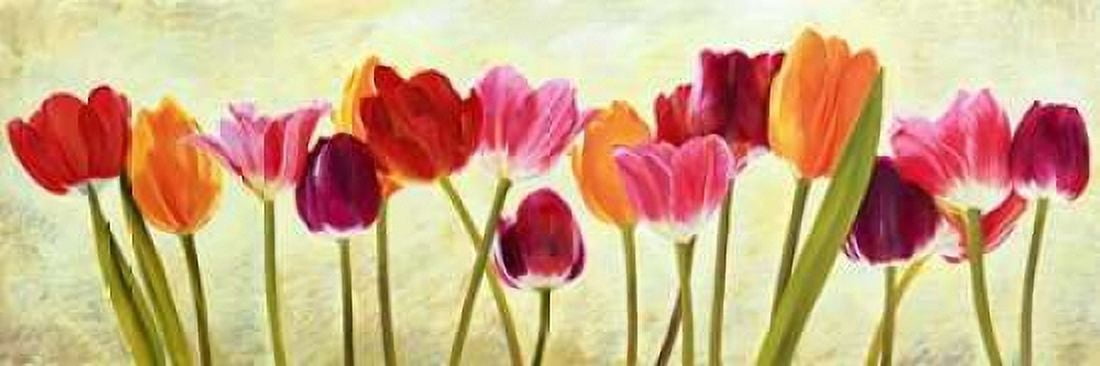 Tulip parade Canvas Art - Luca Villa (8 x 24)