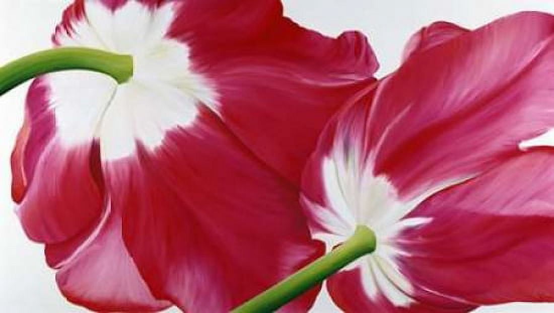 Tulipa Canvas Art - Yvonne Poelstra-Holzhaus (12 x 18)