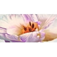 thumbnail image 1 of Tulipe Poster Print by Luca Villa (10 x 20), 1 of 1