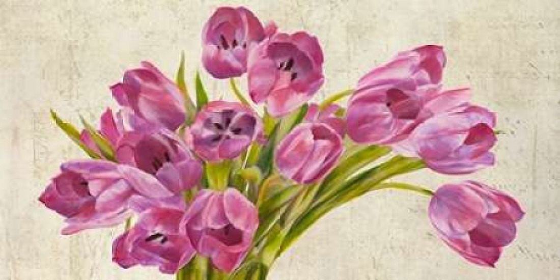 Tulipes Canvas Art - Leonardo Sanna (10 x 20)