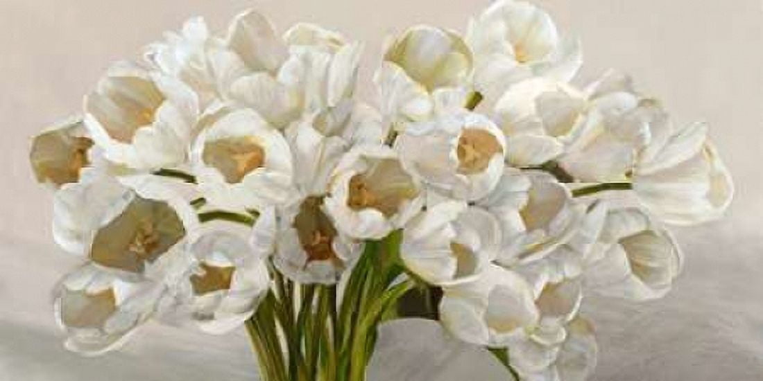Tulipes blanches Canvas Art - Leonardo Sanna (10 x 20)