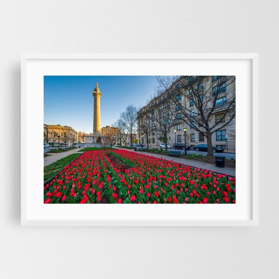 Tulips 02 - Baltimore Maryland Photography Cityscape Architecture ...