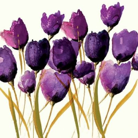 Tulips Canvas Art - Nicola Evans (24 x 24)