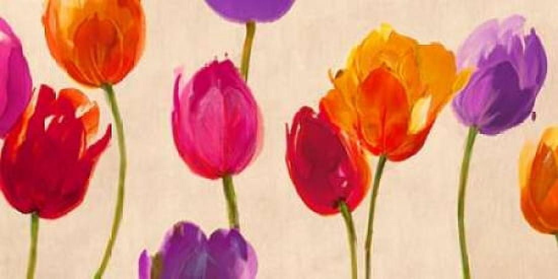Tulips & Colors Canvas Art - Luca Villa (10 x 20)