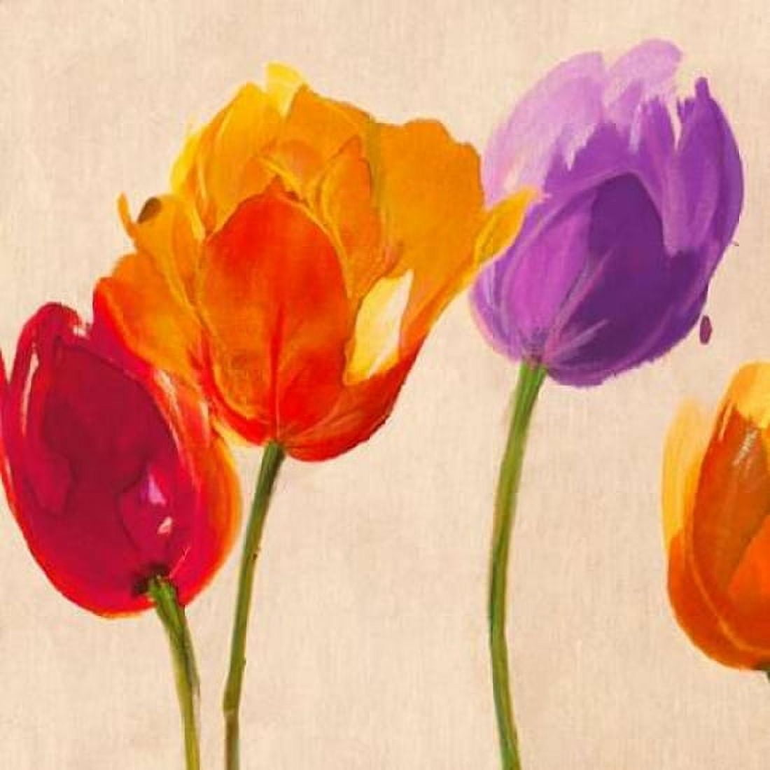 Tulips & Colors (detail) Canvas Art - Luca Villa (24 x 24)