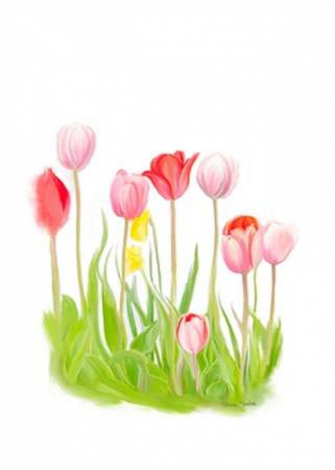 Tulips IV Canvas Art - Ramona Murdock (20 x 28)
